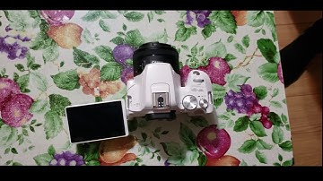 Turn on grid lines on Canon Rebel E0S SL3