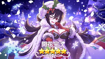 プリコネ クリスマスイリヤ