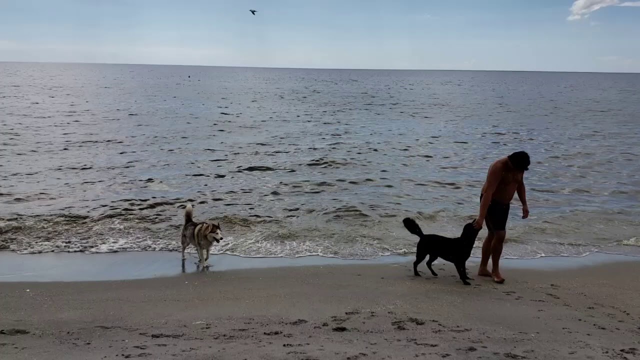 NOTABLE NORTH PORT:  BEACH DAY