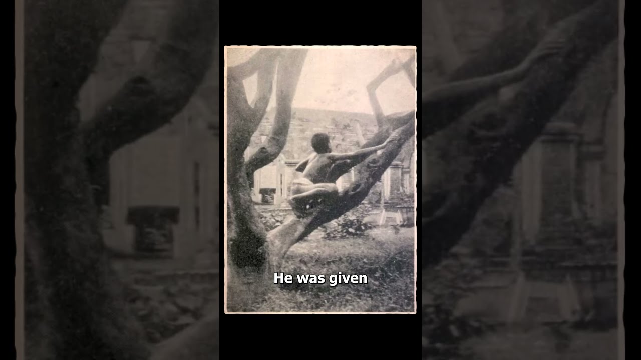 The Original Jungle Book Sad 