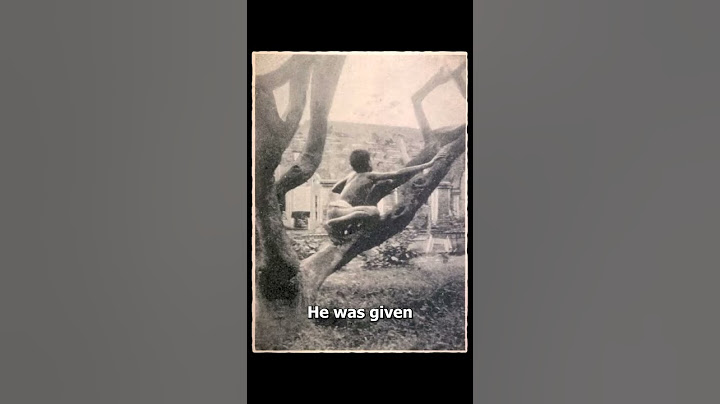 The Original Jungle Book 😔 (sad)
