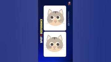 Spot The Difference : Only Genius Can Find The Differences