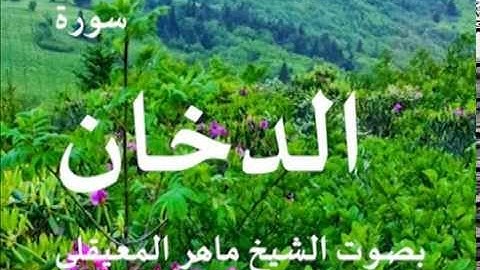 سورة الدخان بصوت الشيخ / ماهر المعيقلي 44