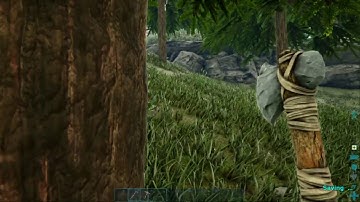 ARK: How to use Admin commands