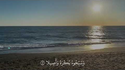 "يَا أَيُّهَا الَّذِينَ آمَنُوا اذْكُرُوا اللَّهَ ذِكْرًا كَثِيرًا " سورة الاحزاب #ياسر_الدوسري