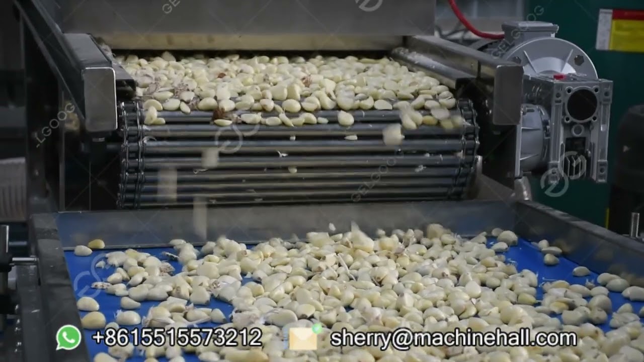 Garlic Paste Production Line in USA