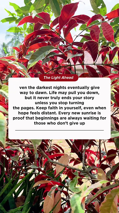 The Light Ahead #qoutes