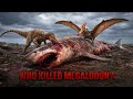 The REAL Reason the Megalodon Is Gone Forever