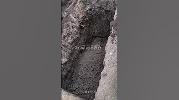 سورة المؤمنون بصوت الشيخ ياسر الدوسري #اكتب_شي_تؤجر_عليه #قرآن #quran #اكسبلور