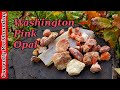 Rockhounding For Pink Opal In The Washington Scablands