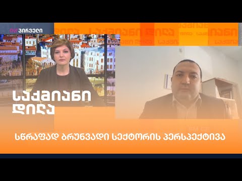 სწრაფად ბრუნვადი სექტორის პერსპექტივა