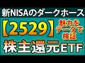 2529(NEXT FUNDS 野村株主還元70連動型上場投信)を徹底分析。ETFのコンセプト、銘柄の傾向、業種、分配金利回り、増配率、トータルリターン、将来YOC予想、ライバルETFとの比較など