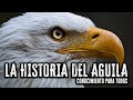 La Historia del Aguila || Reflexiones de Vida