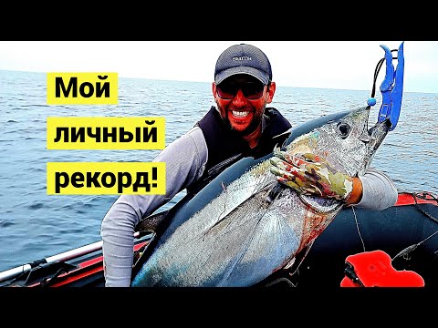 Видео: Мой рекордный тунец