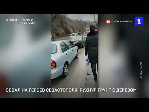Обвал на Героев Севастополя: рухнул грунт с деревом