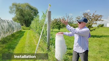 Hail netting for an Organic Apple Orchard at Dream Apple Farm