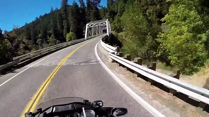 Ride Through The Giant Redwoods