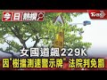 女國道飆229K 因「樹擋測速警示牌」 法院判免罰｜TVBS新聞 @TVBSNEWS01