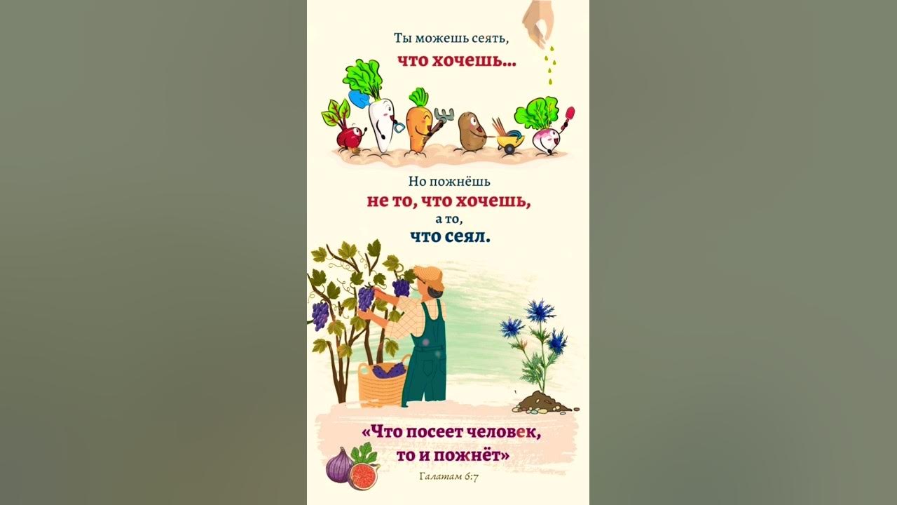 Выражение что посеешь то. Что посеешь то и пожнешь. что посеет человек то и пожнет. что посеешь то и пожнешь татуировка.