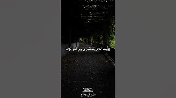 سورة النصر | Surah An-Nasr | تلاوة خاشعة بصوت القارئ أسامة القاضي🤎🍂