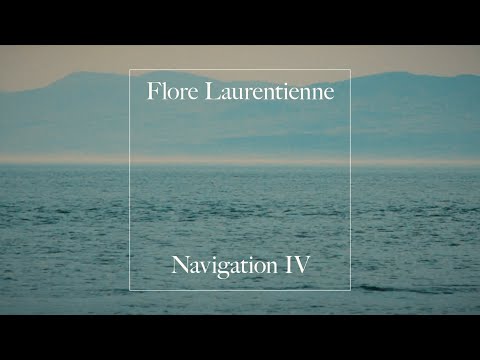 Flore Laurentienne - Navigation IV (Clip officiel / Official videoclip)