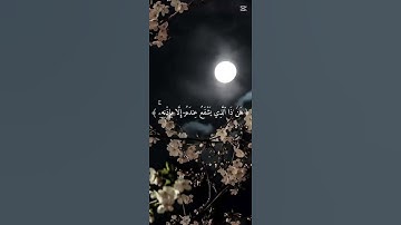 سورة الكرسي #اكسبلور 🌷 #duet 🌹 #لايك 💕 #ورك