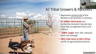 Native Voices in STEM (NVIS) | Dr. Valerisa Joe-Gaddy (Diné) | Fall 2023
