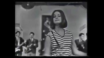 Es Lupe ( Hang On Sloopy) - Los Johnny Jets