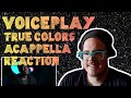 VOICEPLAY | TRUE COLORS ACAPPELLA REACTION | MUSICIAN REACTS