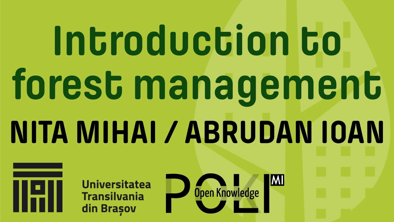 Introduction to forest management - YouTube