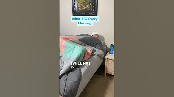 Blink-182 Every Morning #shortvideo #funny #short #blink182 #shorts #comedy #youtubeshorts #viral