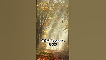 Dare to Dream Big: Unleash Your Potential | Motiiv Minute #inspirationalquotes #1minuteinspiration