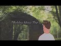 Hank trill  bobby mow the grass  official music 