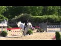 Shownetllc   of zebrina tn ridden by chris kappler from shownet