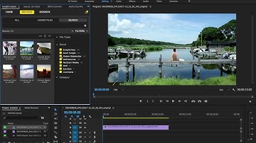 Search and Browse Videos Easily with Evolphin Zoom