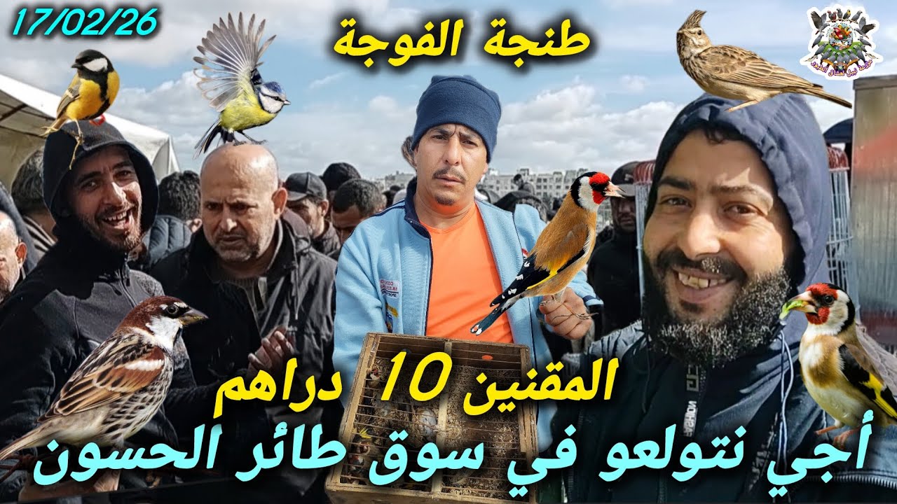 عالم الطيور مستحيل طائر الحسون بـ 10 دراهم 🤯 اكتشفوا أكبر سوق في شمال المغربي لكل عشاق 🇲🇦