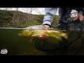 The beauty of spring fly fishing for wild brown trout