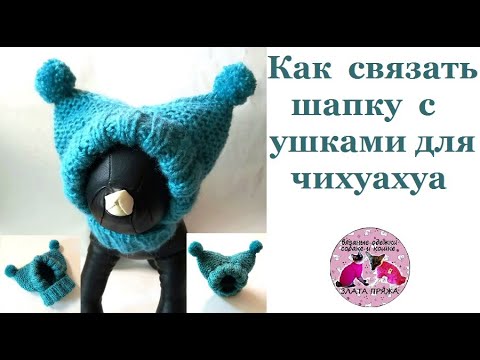 Как вязать шапку с ушками для чихуахуа МК