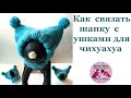 Как вязать шапку с ушками для чихуахуа МК