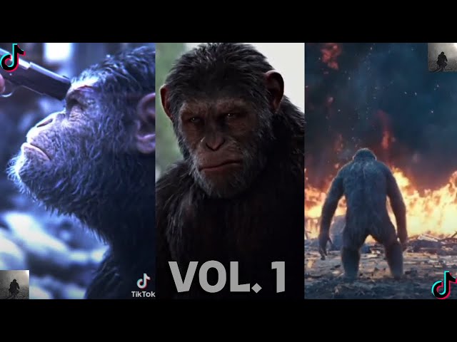 Planet of the Apes TikTok Edits | Vol 1 class=