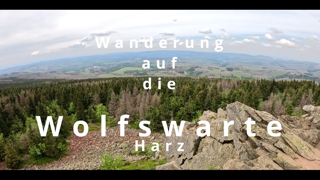 Wanderung auf die Wolfswarte im Harz | HWN 135 | Aussichtspunkt und Gipfel | schöne Rundwanderung 🚶🥾