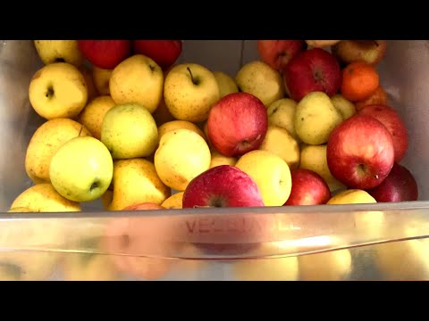 Как хранить яблоки в холодильнике