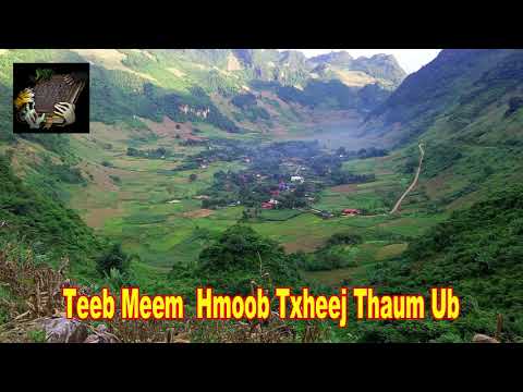 Video: Dab Tsi Yog Txheej Txheem Keeb Kwm