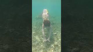 Real life mermaid swimming under the sea with fish #littlemermaid