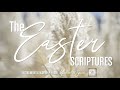 STILL:  The Easter Scriptures | Michael W. Smith