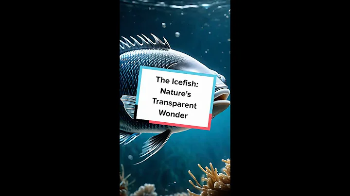 The Icefish: Nature's Transparent Wonder
