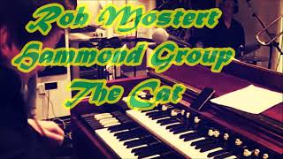 Rob Mostert Hammond Group,   The Cat