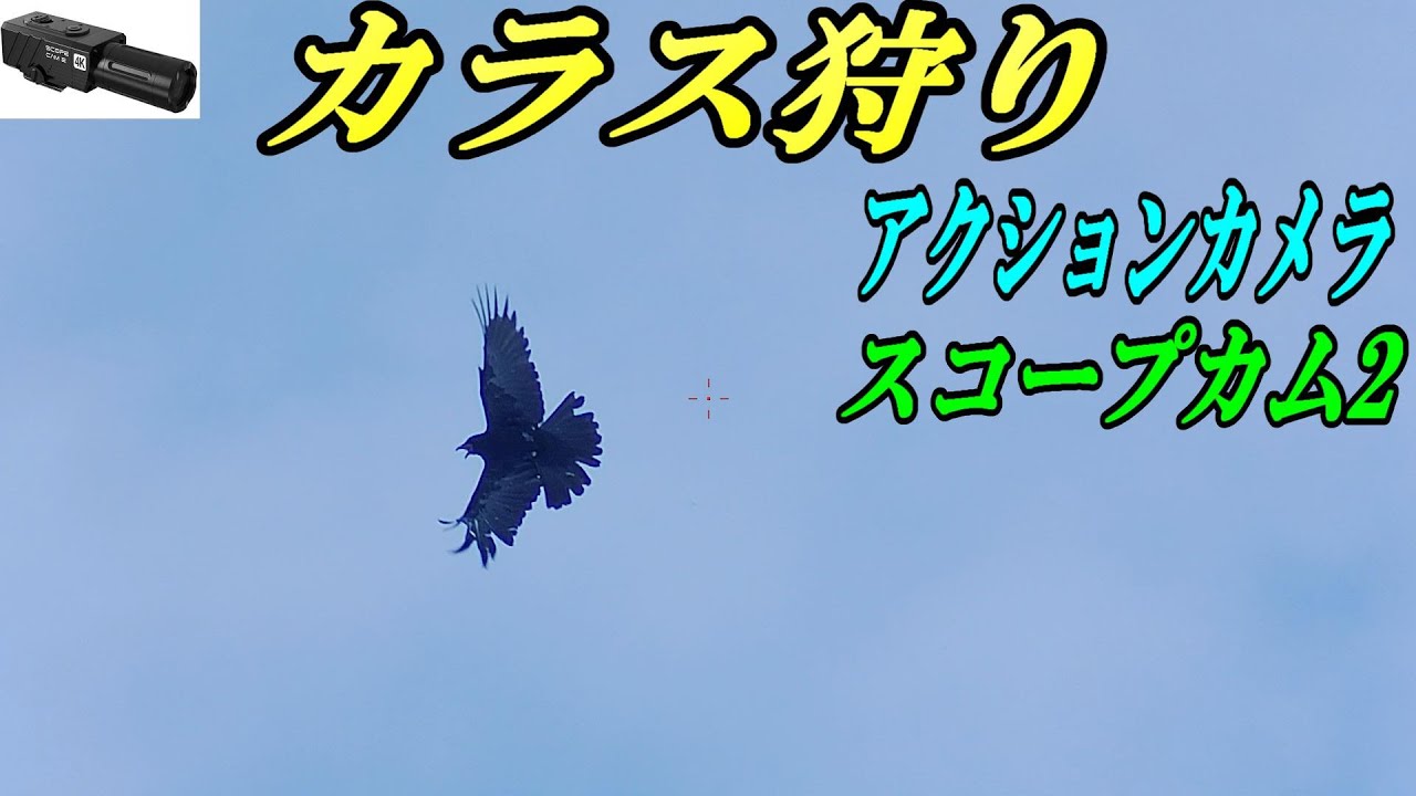 カラス狩り! アクションカメラとスコープカム2で撮影