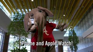Action Card for iPhone and Apple Watch | The University of Alabama