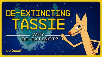 Why De-Extinct the Tasmanian Tiger? | Episode 2 | Colossal Biosciences